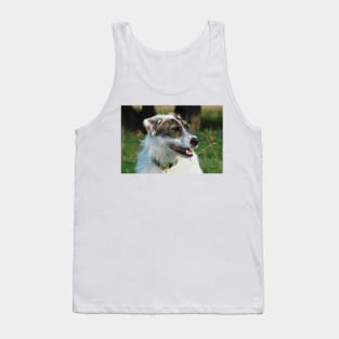 Harry the rescue crossbreed dog out on a walk Tank Top